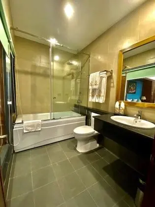 Premium Tek Büyük Yataklı Oda, Şehir Manzaralı