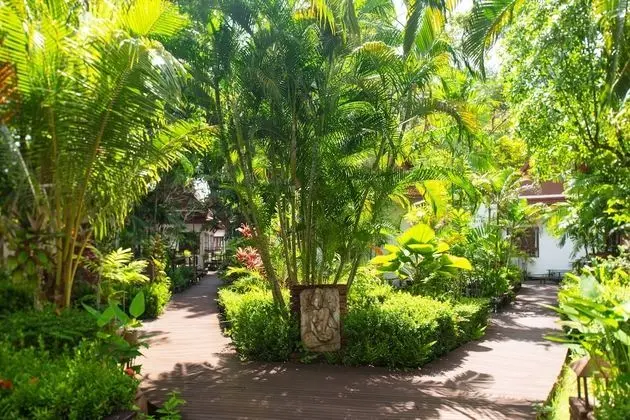 Deluxe Villa, Non Smoking