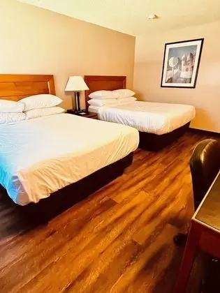 Standard Oda, 2 Büyük (Queen) Boy Yatak (Pet Friendly)