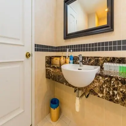 Presidential Çatı Katı Süiti (Penthouse)
