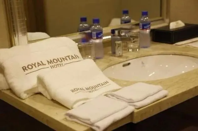 Business Tek Kişilik Oda, 1 En Büyük (King) Boy Yatak, Sigara İçilmez