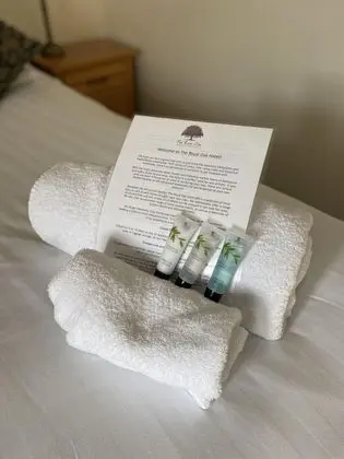 Tek Büyük Yataklı Oda, Banyolu/Duşlu