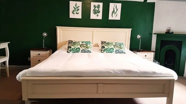 Deluxe Tek Büyük Yataklı Oda, Banyolu/Duşlu (Superking)