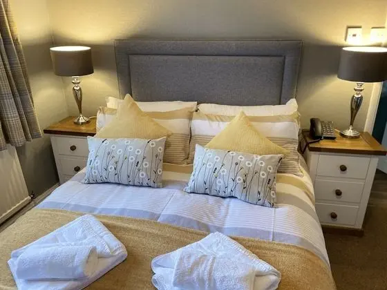 Deluxe Tek Büyük Yataklı Oda, Banyolu/Duşlu