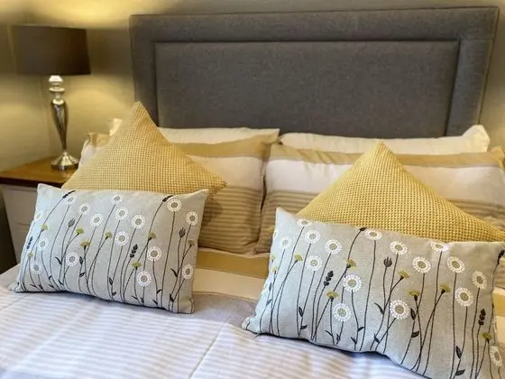 Deluxe Tek Büyük Yataklı Oda, Banyolu/Duşlu
