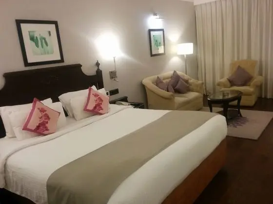 Deluxe Room, Non Smoking