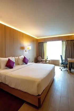 Executive Oda