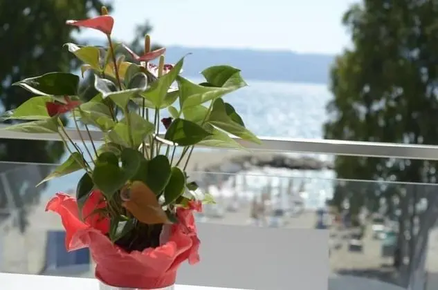 Tek Büyük Yataklı Oda, Balkon, Deniz Manzaralı