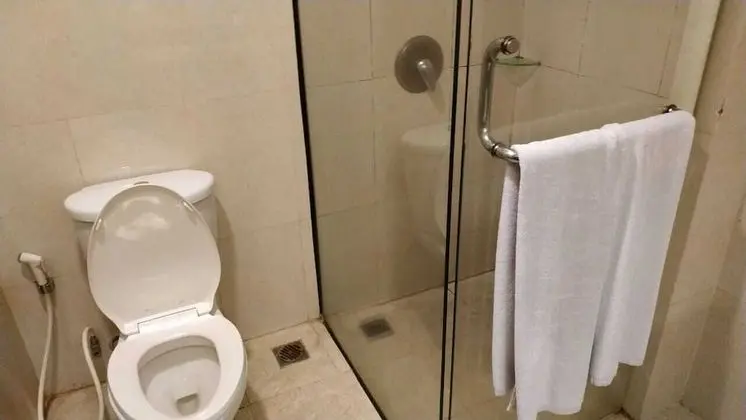 Deluxe Tek Büyük veya İki Ayrı Yataklı Oda