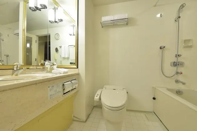 Deluxe Tek Büyük Yataklı Oda, Sigara İçilmez