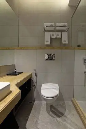 Executive İki Ayrı Yataklı Oda, 2 Tek Kişilik Yatak