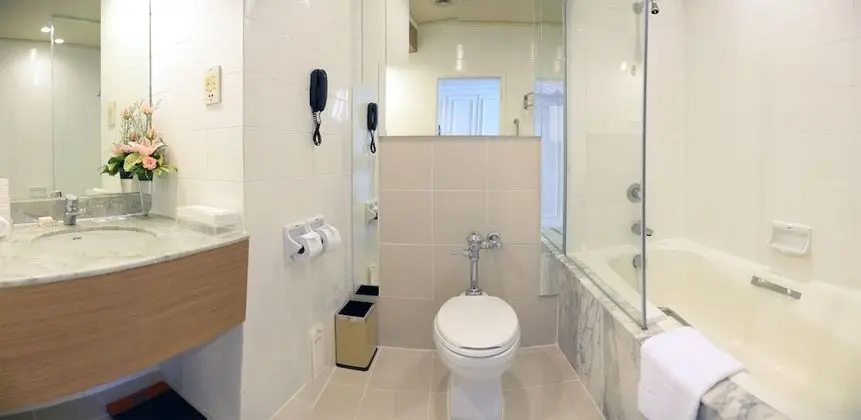 Deluxe Tek Büyük veya İki Ayrı Yataklı Oda, Balkon, Havuz Manzaralı