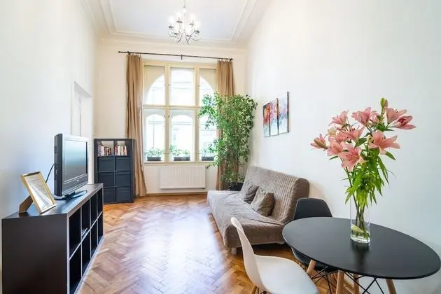 Comfort Apart Daire, 1 Yatak Odası, Sigara İçilmez, Küçük Mutfak