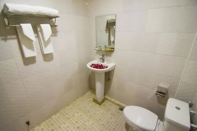 Superior Tek Büyük Yataklı Oda, 1 Çift Kişilik Yatak, Sigara İçilmez