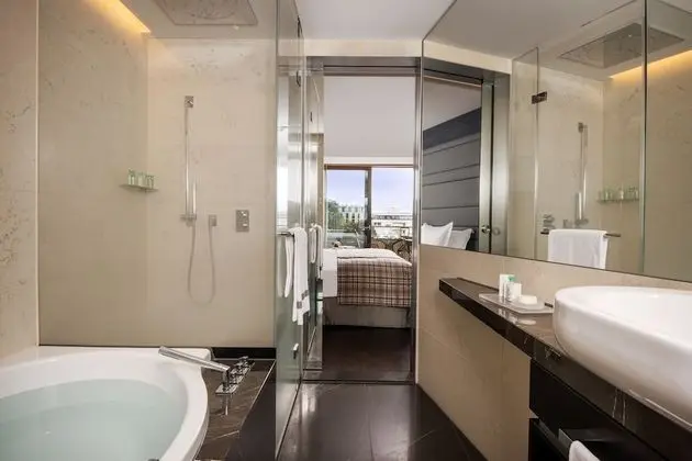 Deluxe Oda, Balkon, Park Manzaralı