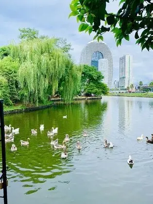 Panoramic Üç Kişilik Oda
