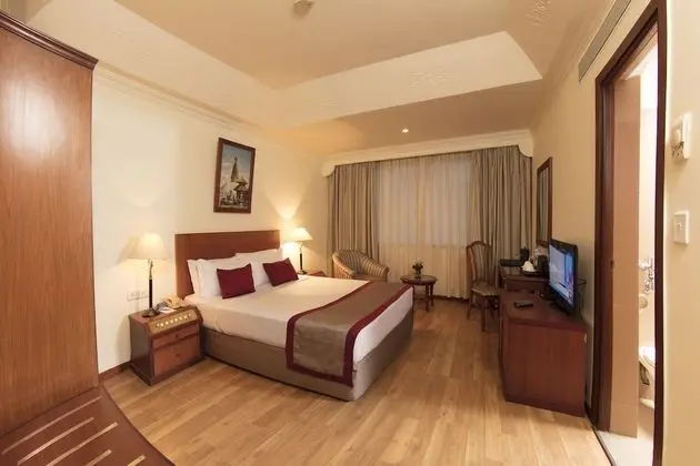 Deluxe Tek Büyük Yataklı Oda, Sigara İçilebilir, Şehir Manzaralı