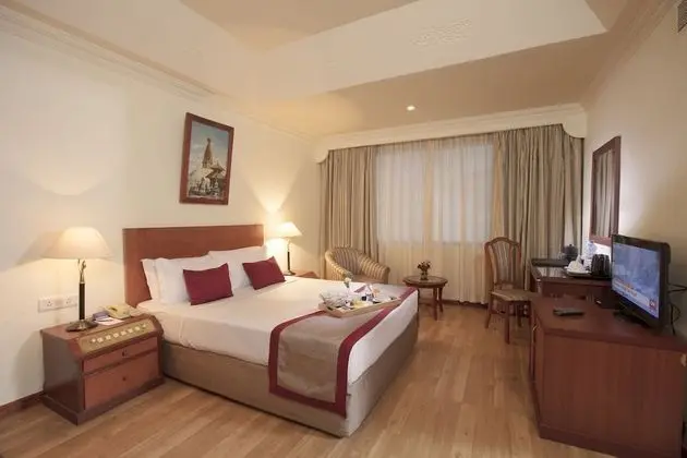 Deluxe Tek Büyük Yataklı Oda, Sigara İçilebilir, Şehir Manzaralı
