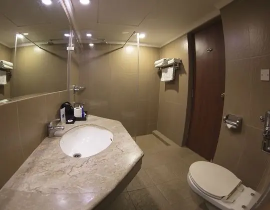 Deluxe Tek Büyük Yataklı Oda, Sigara İçilebilir, Şehir Manzaralı
