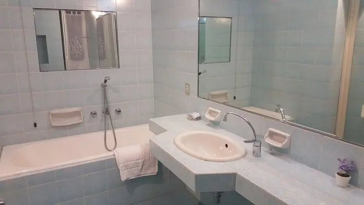 Comfort Tek Büyük Yataklı Oda, Küvet, Bahçe Manzaralı