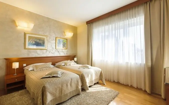 Superior Tek Büyük Yataklı Oda