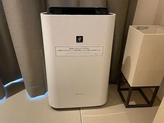 Tek Büyük Yataklı Oda, Sigara İçilmez (Smart, 15 sqm)