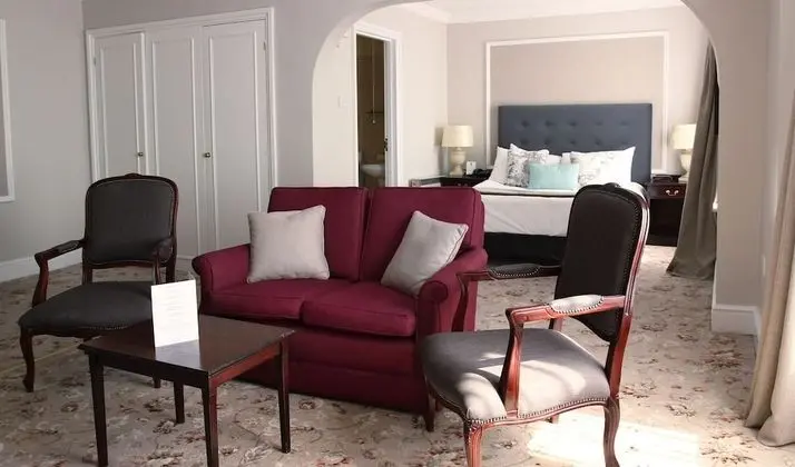 Deluxe Süit, 1 Çift Kişilik Yatak