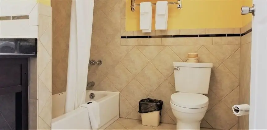 Deluxe Oda, 1 En Büyük (King) Boy Yatak, Sigara İçilmez