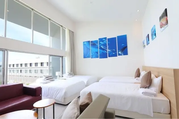 Deluxe İki Ayrı Yataklı Oda, Okyanus Manzaralı (Premium Ocean View)