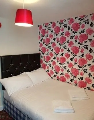 Apart Daire, 1 Yatak Odası (Room 1)