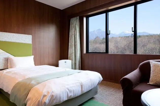 Luxury İki Ayrı Yataklı Oda, Sigara İçilmez (Mt.Fuji View)