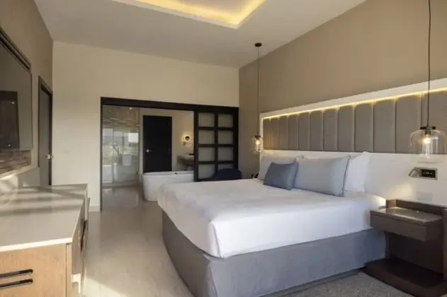 Luxury Presidential Jacuzzi Swim Out Pool View One Bedroom Suite Diamond Club