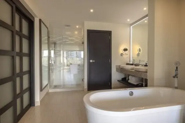 Luxury Presidential Jacuzzi Swim Out Pool View One Bedroom Suite Diamond Club