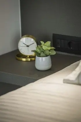 Superior Tek Büyük veya İki Ayrı Yataklı Oda