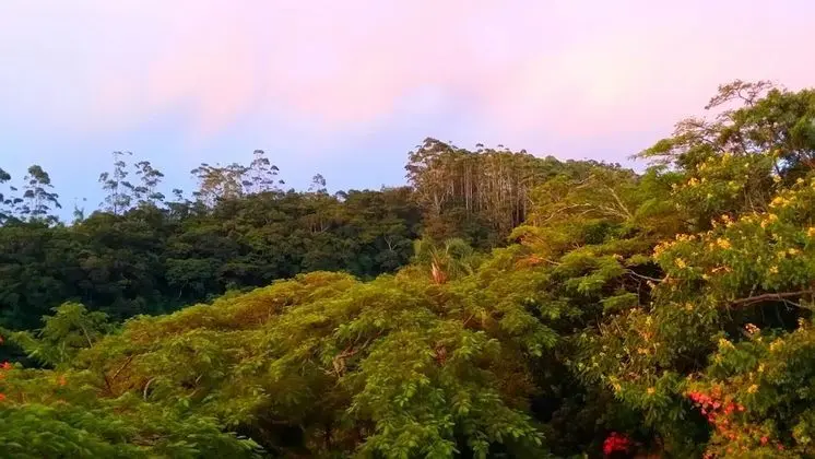 Comfort Süit, 1 Çift Kişilik Yatak, Buzdolabı ve Mikrodalga, Zemin Kat