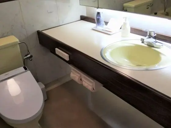 İki Ayrı Yataklı Oda, Sigara İçilebilir (Bed Size 120cm*2)