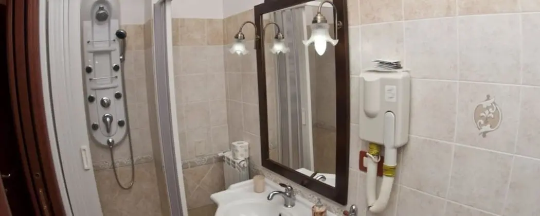 Classic Tek Büyük veya İki Ayrı Yataklı Oda, Banyolu/Duşlu