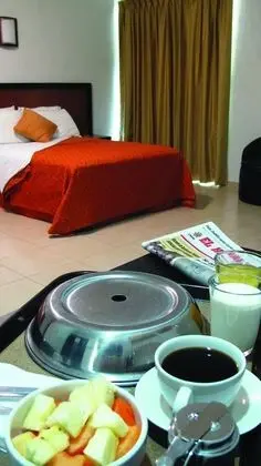 Superior Tek Büyük Yataklı Oda, 1 Yatak Odası