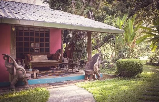 Pink House