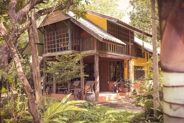 Yellow House