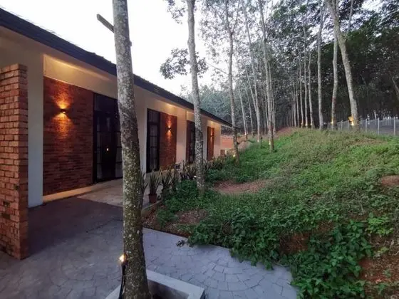 Family Oda (with Rubber Trees View)