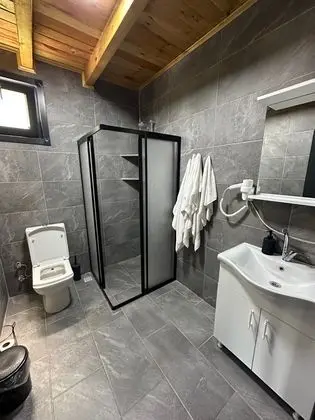 Premium Villa
