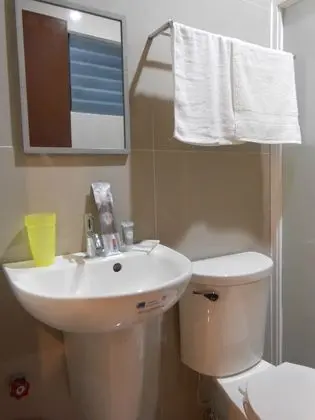 Deluxe Tek Büyük veya İki Ayrı Yataklı Oda, Sigara İçilmez