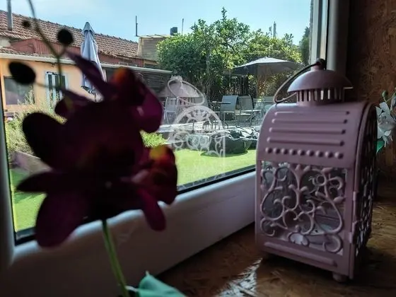 Design Stüdyo, 1 En Büyük (King) Boy Yatak ve Çekyat, Asma Kat