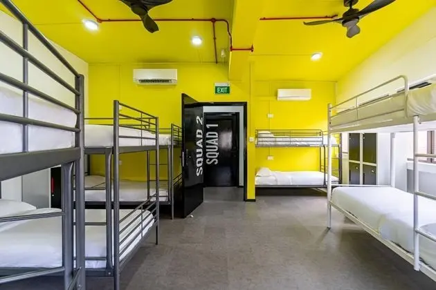 Comfort Ortak Ranzalı Oda, Karma Ranzalı Oda (Single Bed in 10-Bed Mixed Dorm)