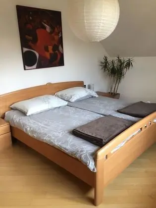 Çatı Katı Süiti (Penthouse)
