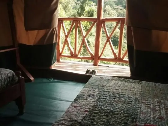 Luxury Çadır