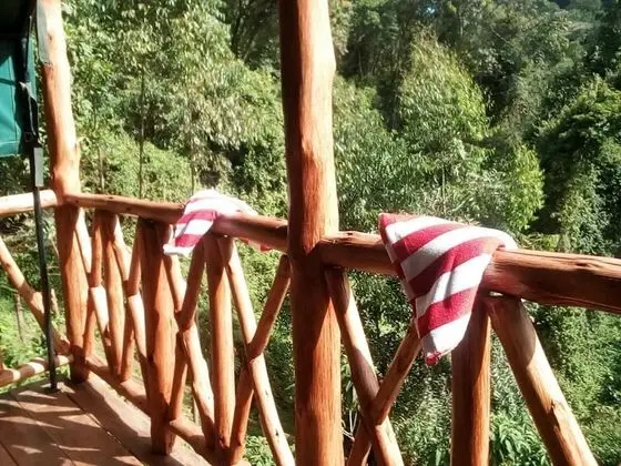 Standard Kır Evi