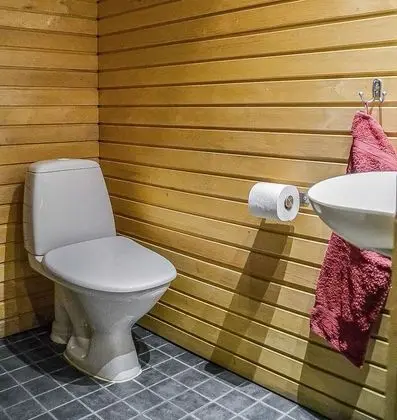 Ev