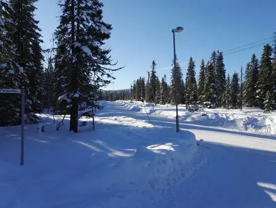 Apart Daire, 1 Yatak Odası, Sauna